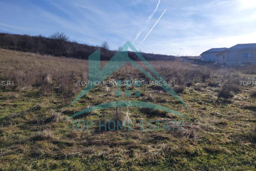 Oportunitate de investitie! Teren intravilan de vanzare in zona lacului Chinteni - 2