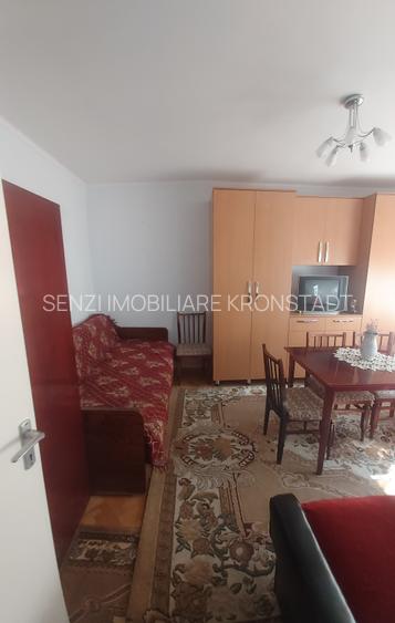 Garsoniera Zizinului - 4