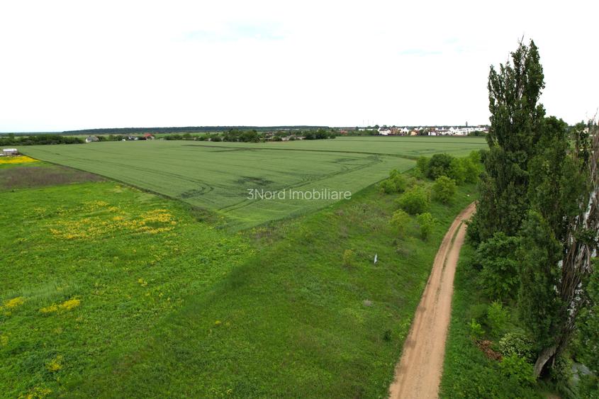 Teren intravilan - 16.450 mp, Corbeanca - Balotesti, deschidere la lac - 9