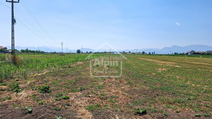 Terenuri Intravilane  Harman - 13