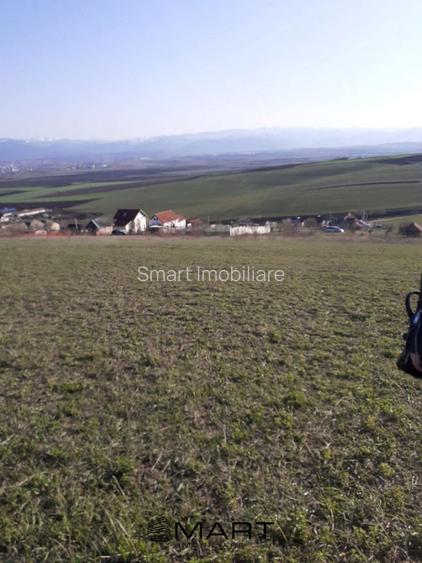 Teren intravilan Sura Mare 550mp - 2