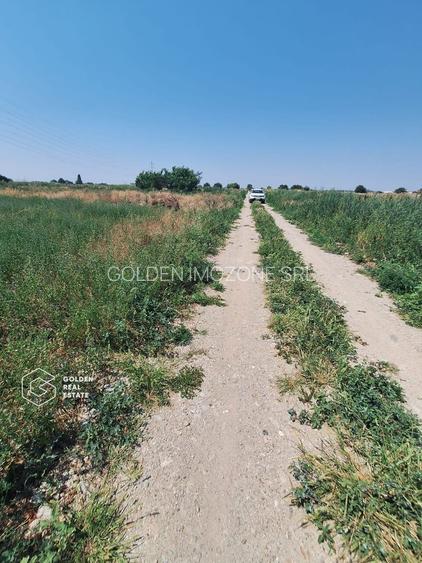 Teren pentru constructie duplex sau casa individuala, 840 mp, Chisoda - 4