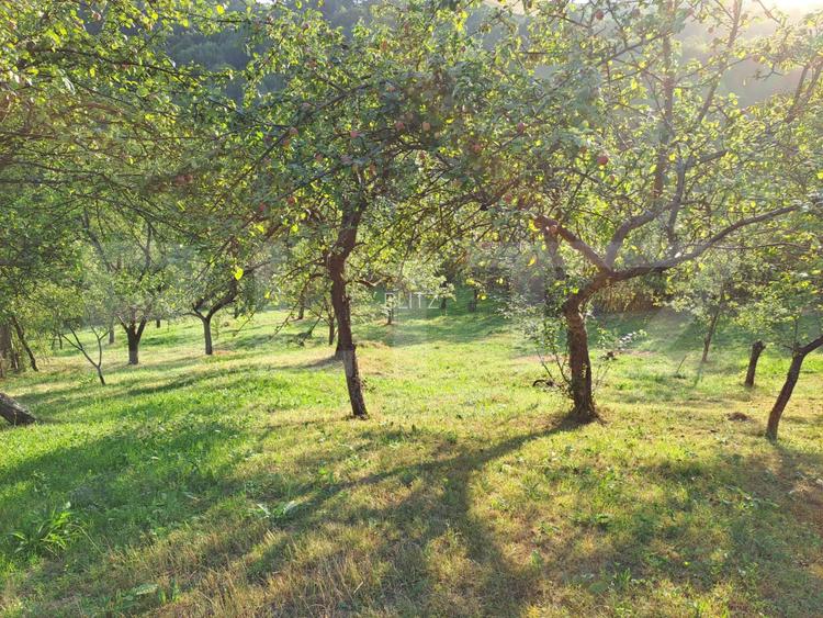 Casă de vânzare, 100 mp, teren 10.000 mp, zona Almașu Mare - 12