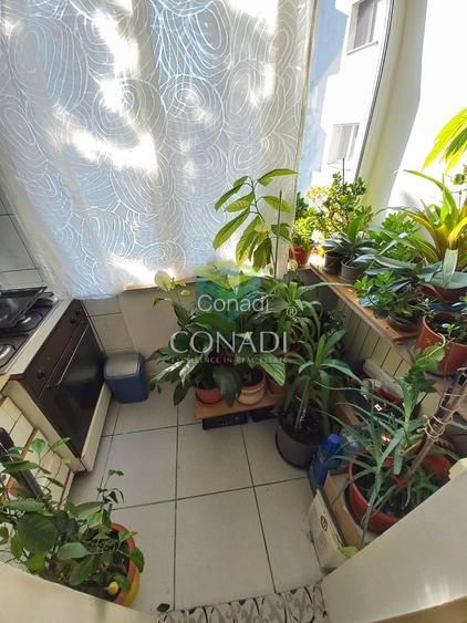 Apartament cu 2 camere Baneasa - 13