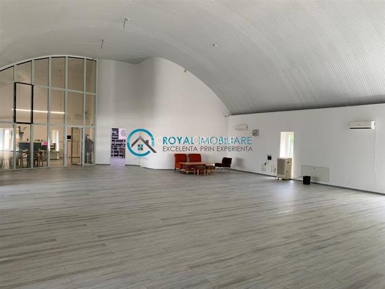 Royal Imobiliare - Inchiriere spatiu industrial zona Bucov - 2