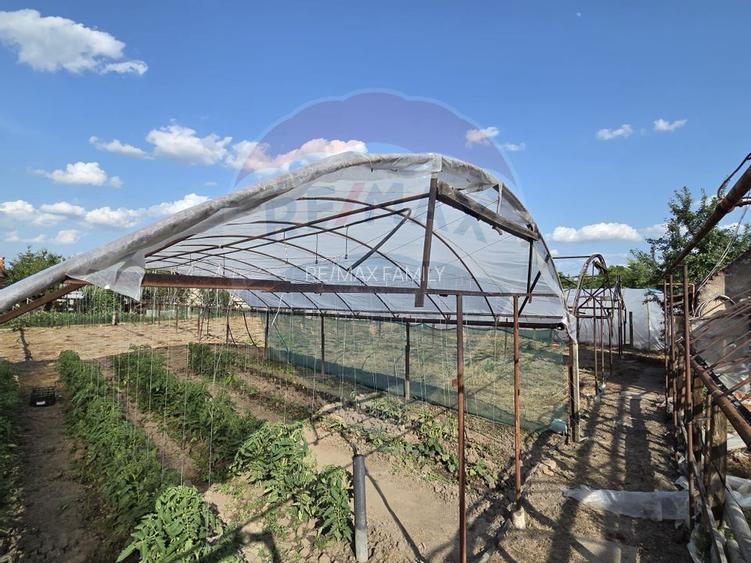 Casă cu gradina si solarii de legume - 17
