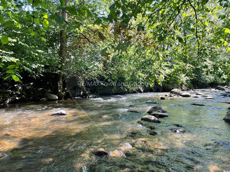 Teren 2,932mp Sarbi (Budesti) / Drumul Principal - 3