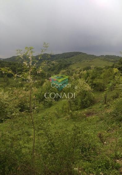 Teren Breaza  800mp pe colina priveliste superba - 8