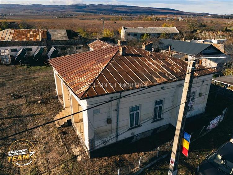 FILM! Casa boieresca autentica,domeniu de 4.000 mp intravilan,in podgoriile Odob - 10