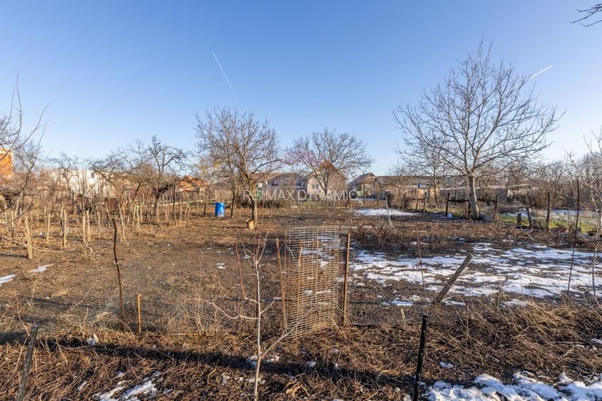 Gospodarie autentică bănățeană, cu teren generos și livadă – Frumușeni - 14