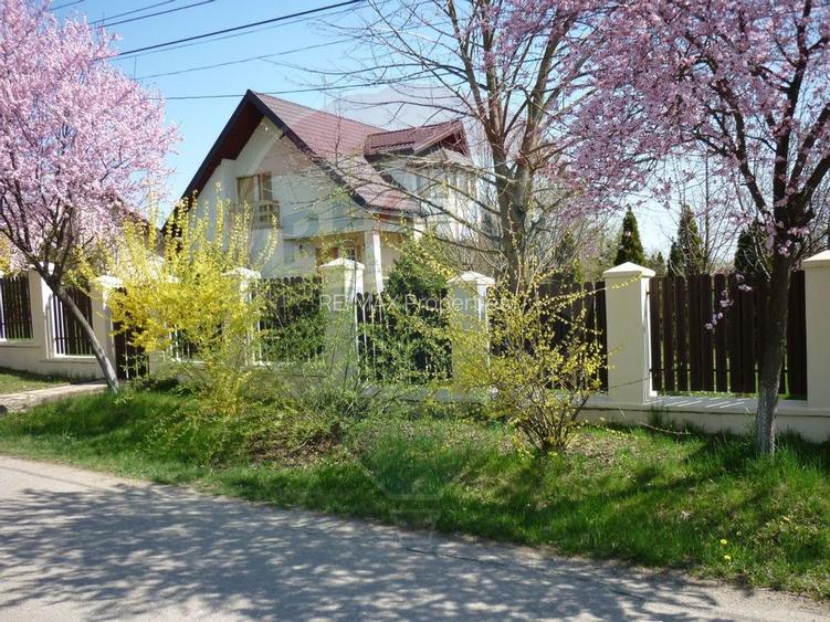 Casa de vacanta langa lacul Snagov / Teren 1922mp / Ciofliceni - 4