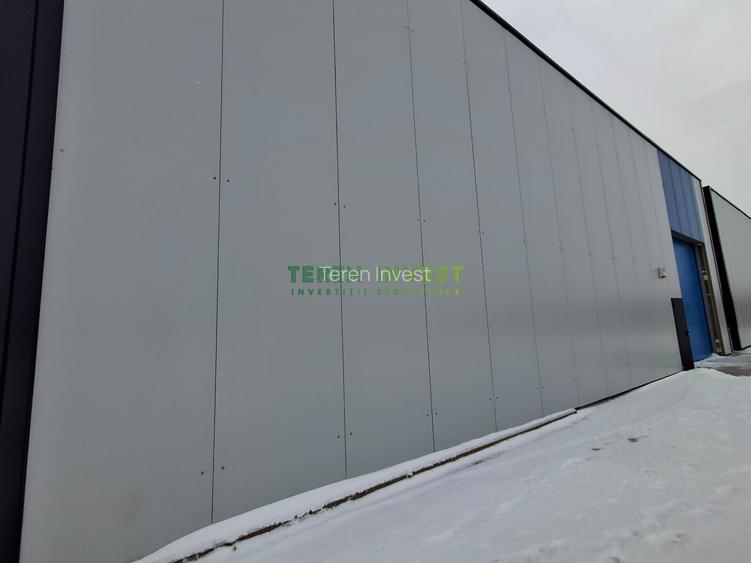 Vânzare hală depozitare - Drumul Între Tarlale - 18