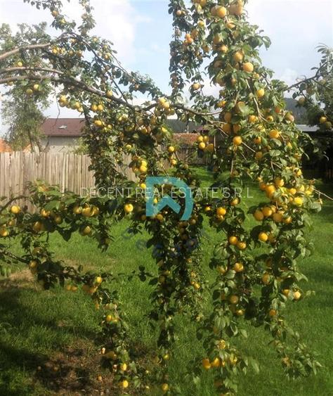 Casa de vanzare  Brasov - 34