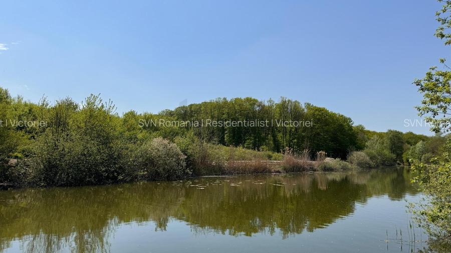 REL4001152 Teren Intravilan 10.000 mp Silistea Snagovului de Vanzare - 3