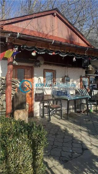 Royal Imobiliare - Vanzare Casa de Vacanta zona Pacureti - 2