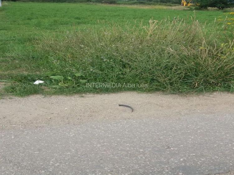 Urgent! Teren intravilan 2100mp in Galda de Jos cu utilitati - 4