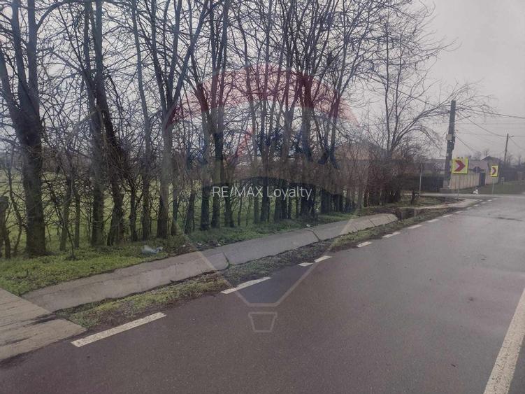 De vanzare teren intravilan Ialomita - 7