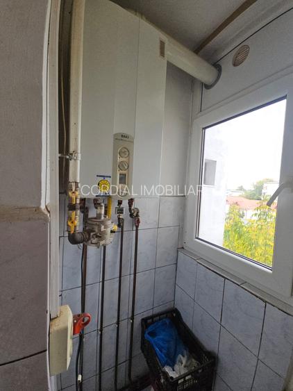 Alexandria centru Penny - 8