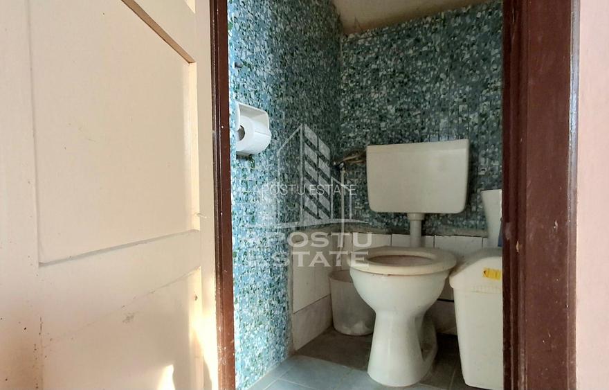 Casa Spatioasa cu Teren Generos in Vladimirescu - 26