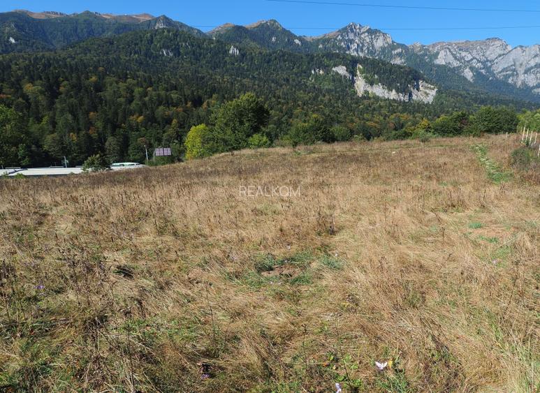 TEREN PENTRU DEZVOLTARE SINAIA-CUMPATU Str. Zamora-9.801 mp-Comision 0% - 22