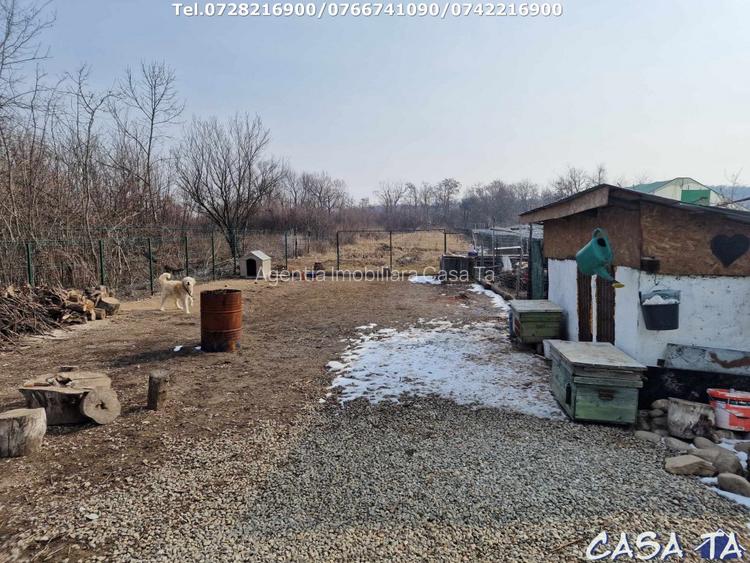 Casa P+1, situata in Curtisoara - 14