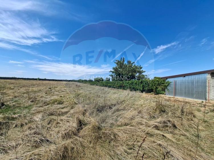 Teren ideal pentru complex rezidențial – Aradul Nou - 5