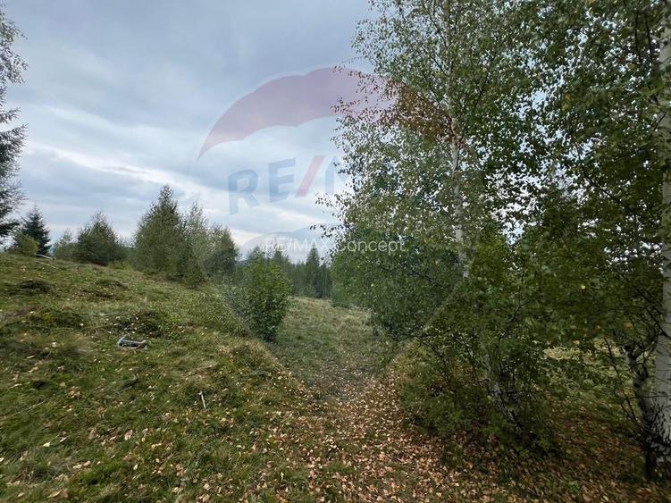 Teren extravilan parcelabil Călățele Pădure, zona Dealu Negru - 7