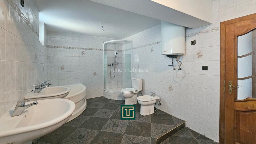 Proprietate multifunctionala - teren generos, cladire si hala in Lugoj - 14