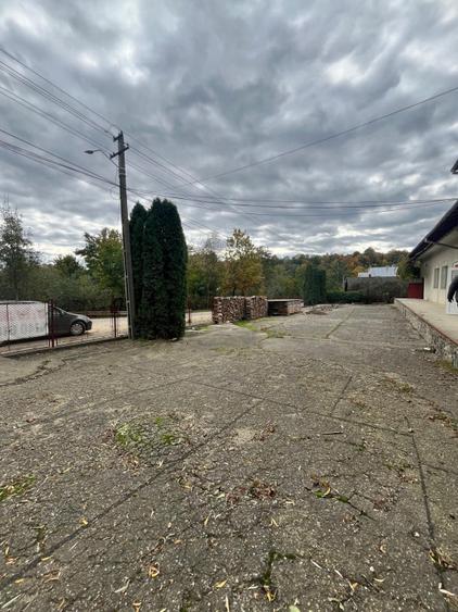 Spatiu comercial multifunctional de inchiriat, Cacica