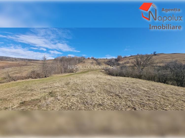 Teren de exceptie 3,1 ha intravilan | Panorama, utilitati, acces dublu | Sard - 5