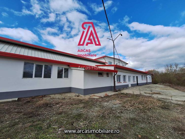 Hala si clădire apartamente pentru muncitori 1144 mp– Parcul Industrial Marșa! - 14