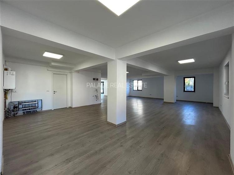 Spatiu Comercial Complet Renovat Elena Doamna - 4