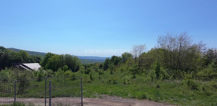 Teren de Vanzare – 850 mp | Petrarie – Burnova | Zona Verde, Investitie  - 3