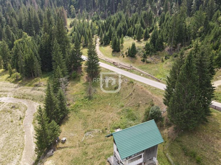 Teren Voronet 4700mp INTRAVILAN | Gura Humorului | Bucovina - 6