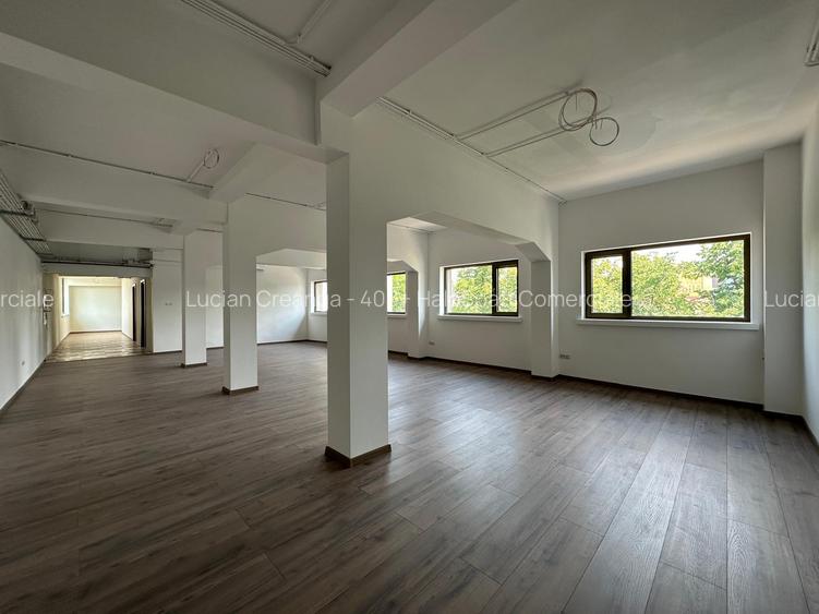 Spatii birouri, showroom, de la 100mp la 190mp, fata Carrefour Felicia - 17