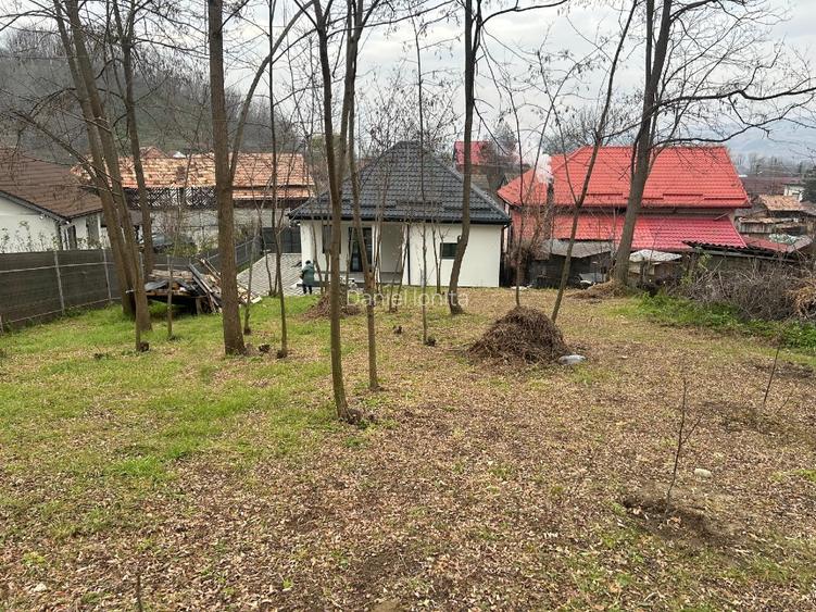 Casa si teren în zona de munte - 9