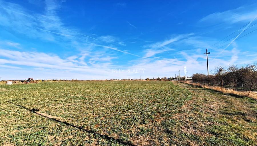 Proprietate deosebita Adunatii Copaceni, teren: 54.141 mp, conac, comision 0% - 6