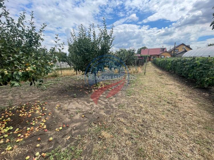 Casa in localitatea Zanoaga- Dolj - 4