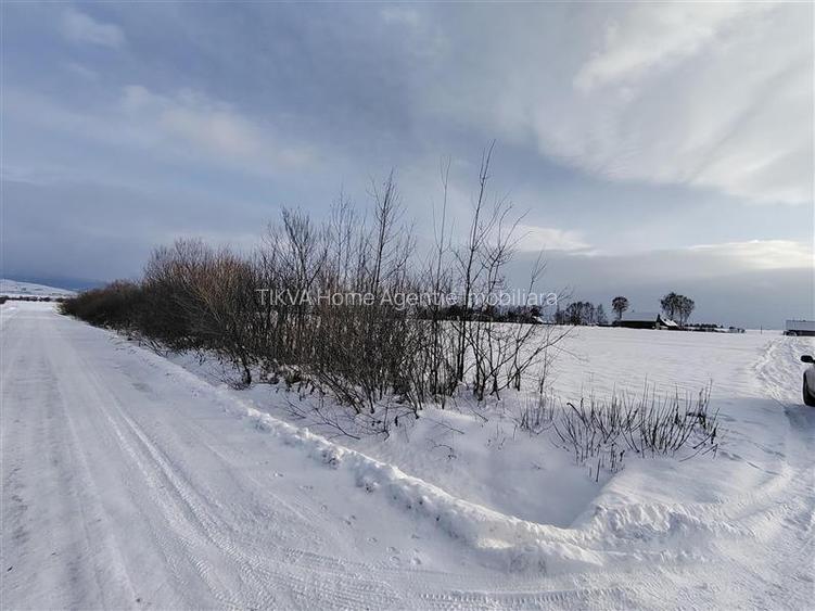 Teren intravilan in Sineu, com. Remetea - 2