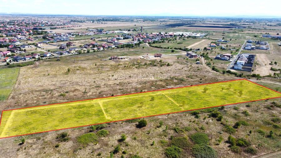 Terenuri de vanzare  Moșnița Nouă – TOATE UTILITATILE-plata RATE - 6