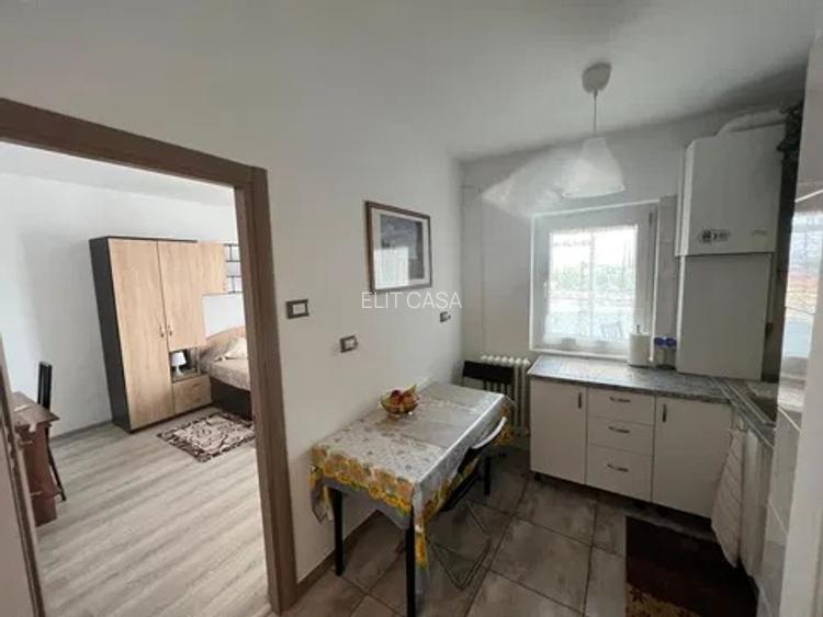 Apartament cu 1 camera, zona Centru -  Palas Mall - 5