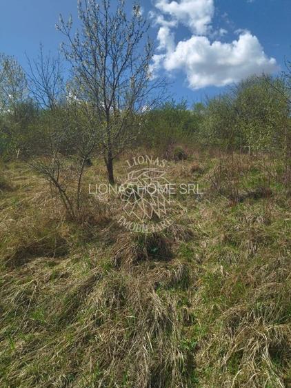 Casa P+M 3 camere 110 mp-teren 1400 mp-Zona Valea Jelnei - 14