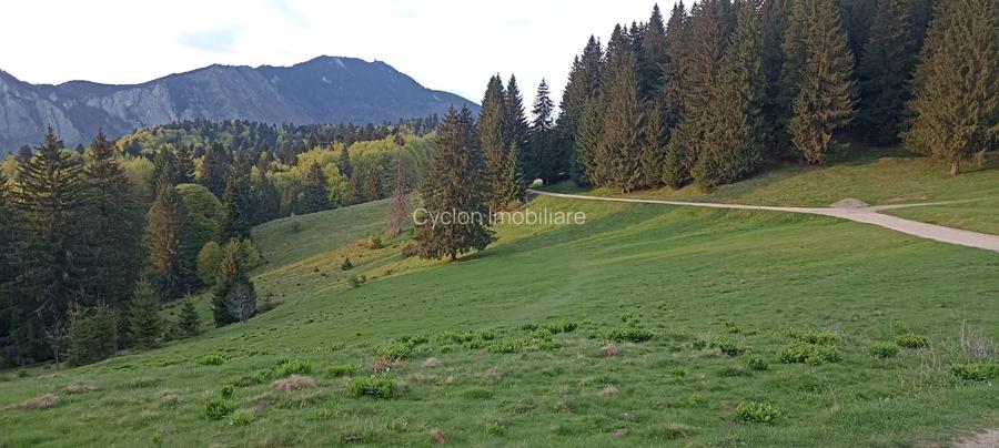 Se vinde teren 900 mp/25 ml toate utilitatile, Predeal laga Cabana Trei Brazi - 9