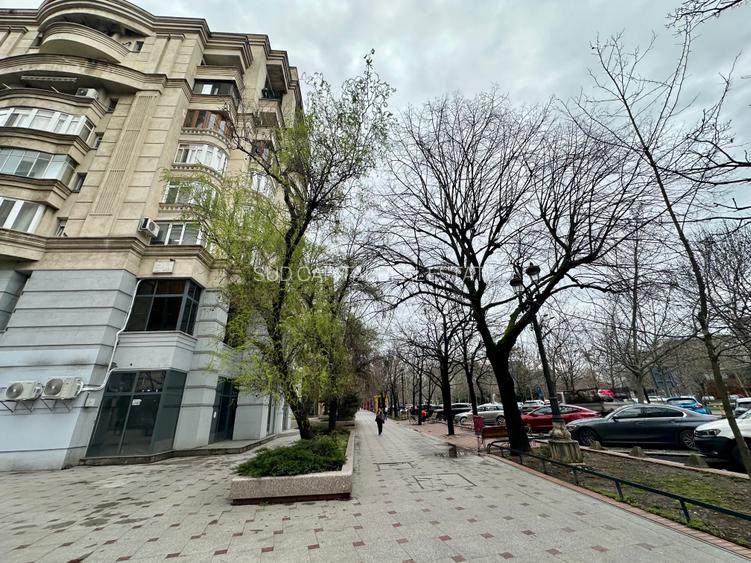 ULTRACENTRAL | DUPLEX SPECTACULOS | LÂNGĂ FÂNTÂNILE UNIRII - 27