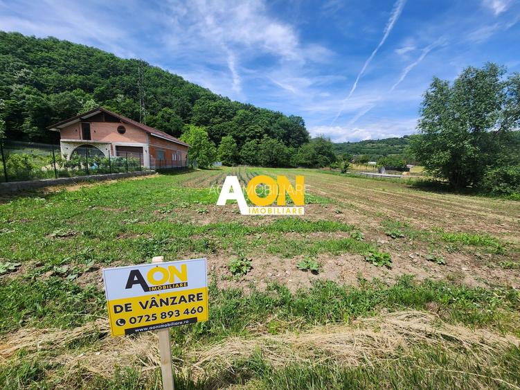 De vanzare teren 936mp cu utilitati, Gura Ampoitei - 2