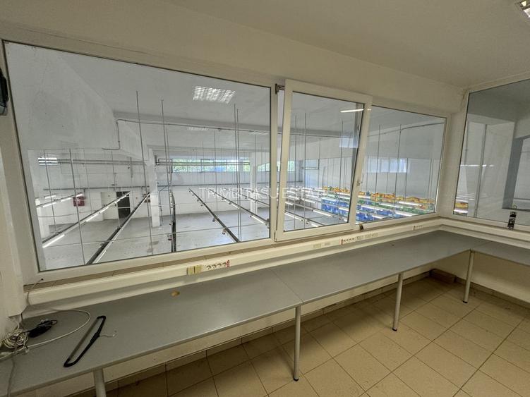 Hala productie P+1 si apartament de serviciu Navodari - c-tie beton - 11