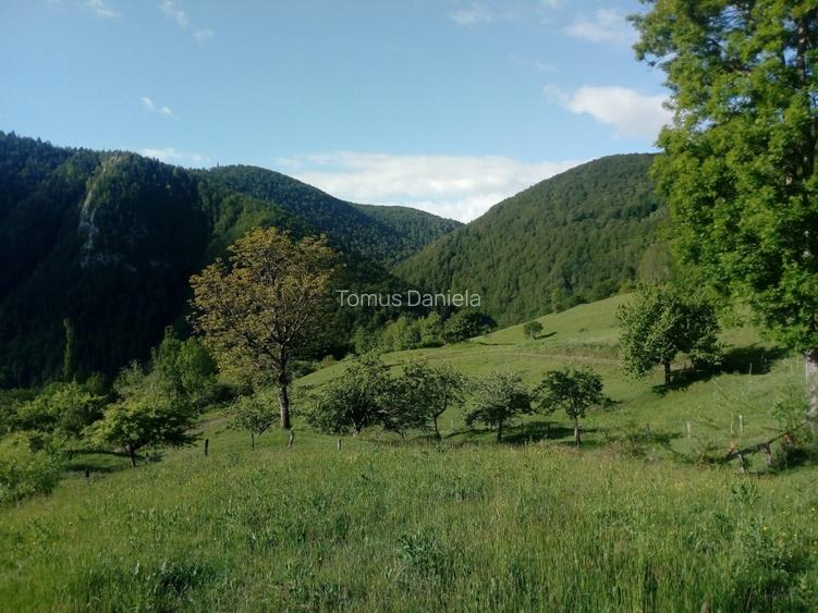 Teren de vânzare cu casă în Apuseni - 14