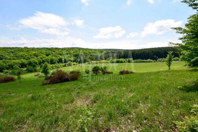 Teren intravilan pentru constructii de vanzare in Chinteni - 4