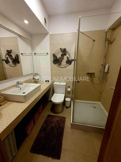 Inchiriere garsoniera Grozavesti terasa si parcare - 6