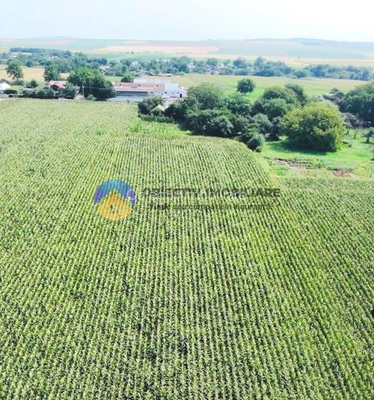 TEREN intravilan  9.126 mp - comuna STEFAN cel MARE - 5